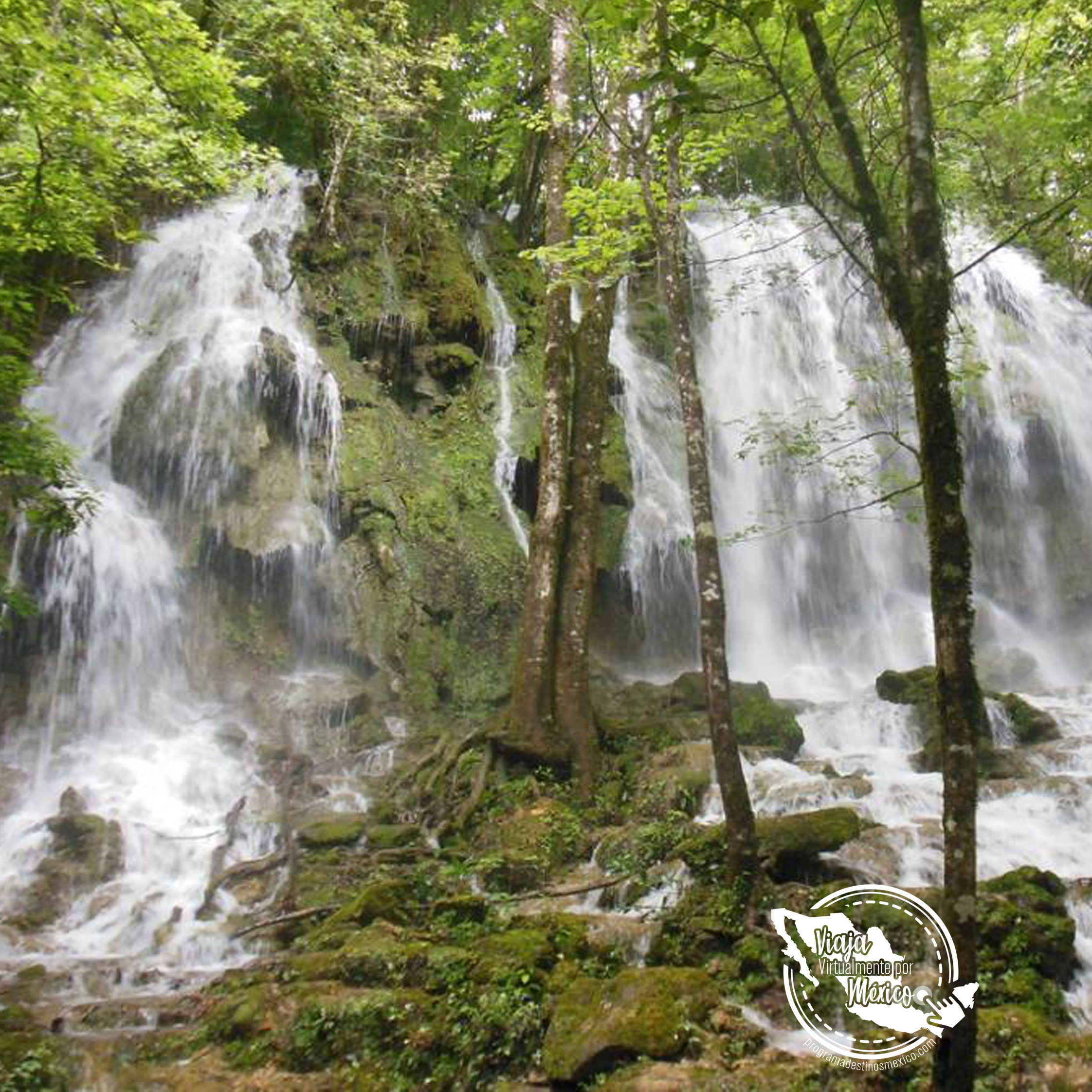 Video de la Reserva de la Biosfera El Cielo